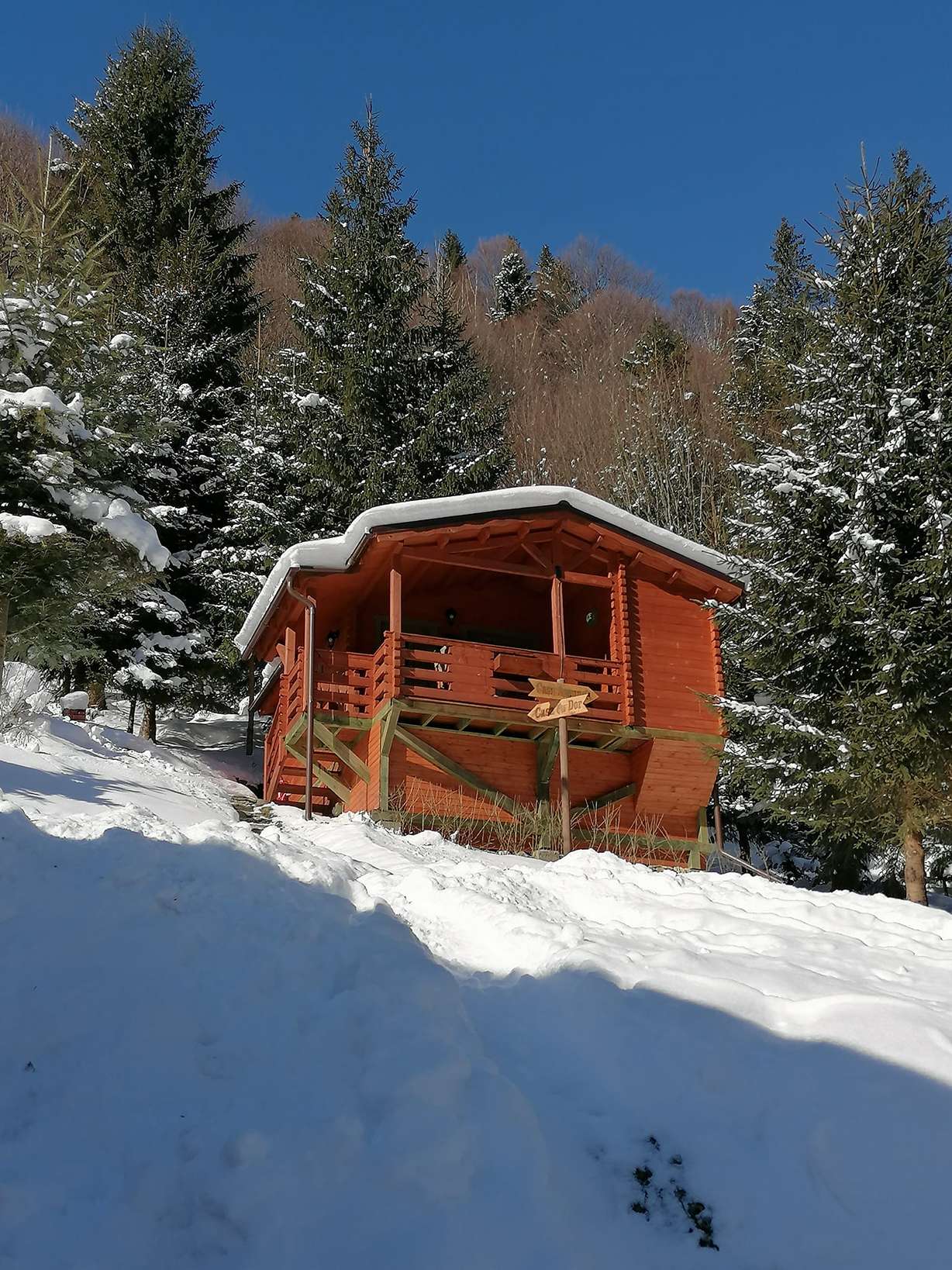 Casă de vacanță din lemn în munți, case din lemn